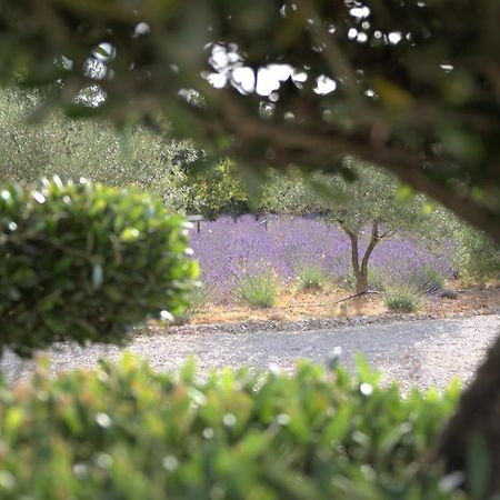 Villa Otilia-Bed And Breakfast-Chambres D'Hotes En Provence Rians  Exterior foto
