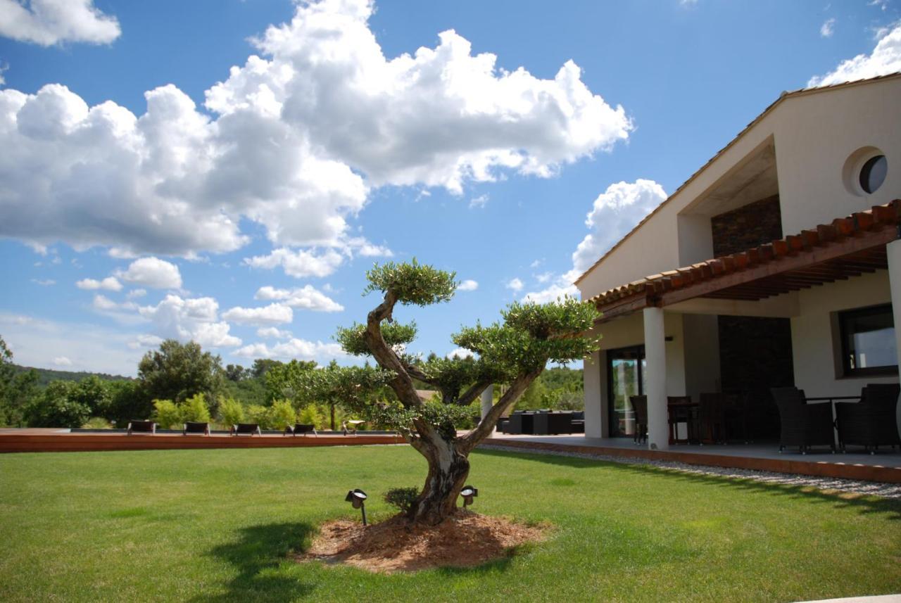 Villa Otilia-Bed And Breakfast-Chambres D'Hotes En Provence Rians  Exterior foto