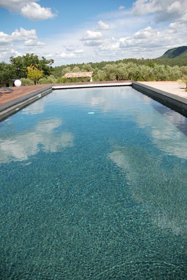 Villa Otilia-Bed And Breakfast-Chambres D'Hotes En Provence Rians  Exterior foto