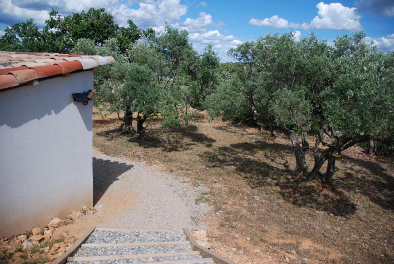 Villa Otilia-Bed And Breakfast-Chambres D'Hotes En Provence Rians  Exterior foto